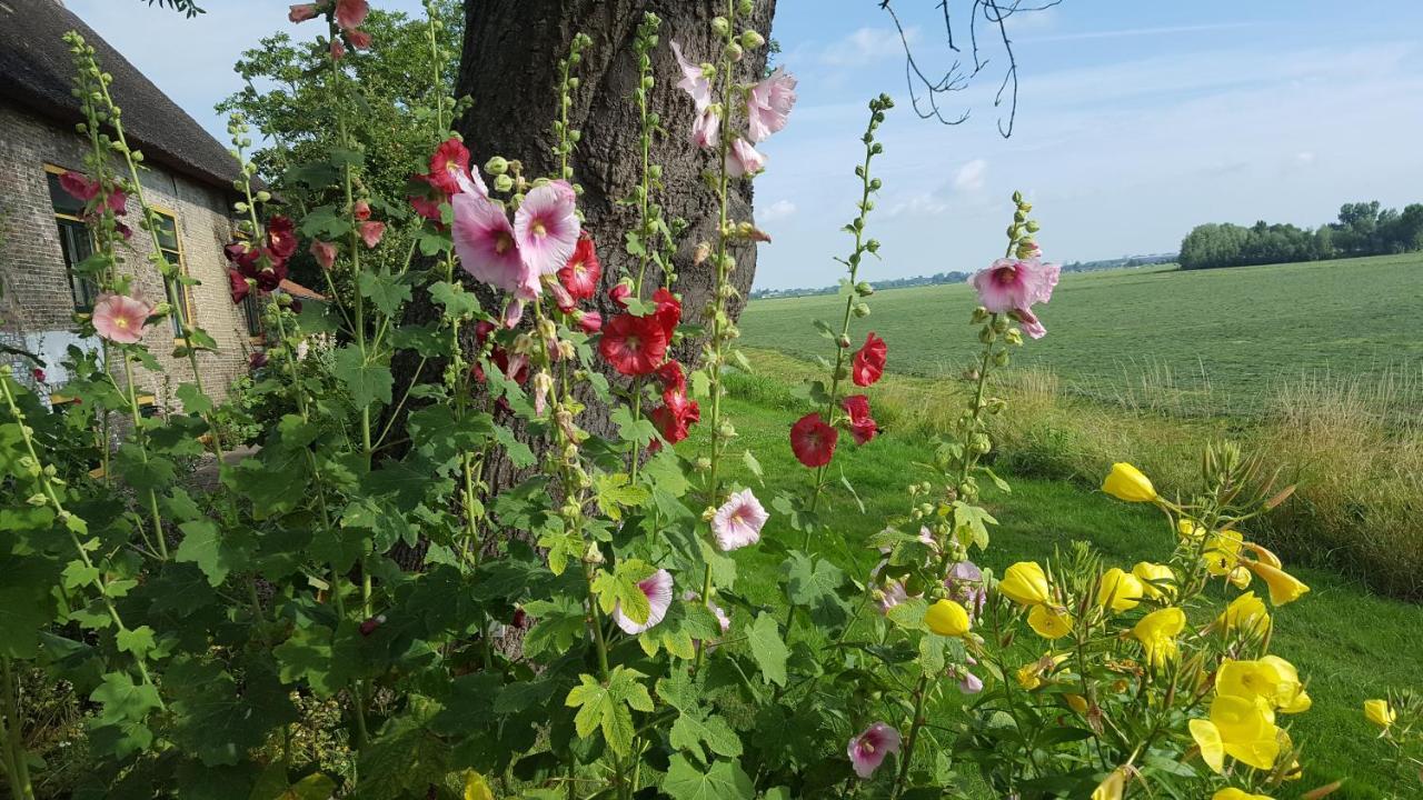 B&B Rechthuis Van Zouteveen Schipluiden 외부 사진